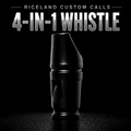 4-in-1 Whistle