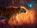 Curious Friend by Christopher Clark