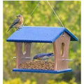 Dried Mealworms 7 oz.