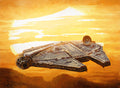 Falcon Sunset by Christopher Clark