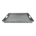 Galvanized Tray