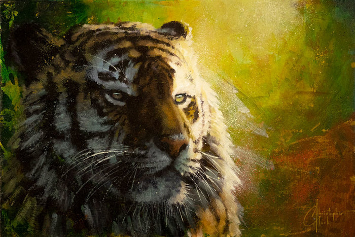 Khan by Christopher Clark