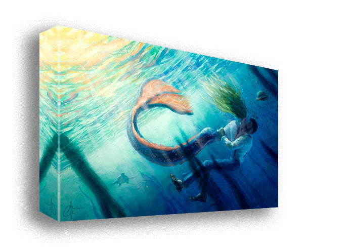 Mermaid Affair by Christopher Clark