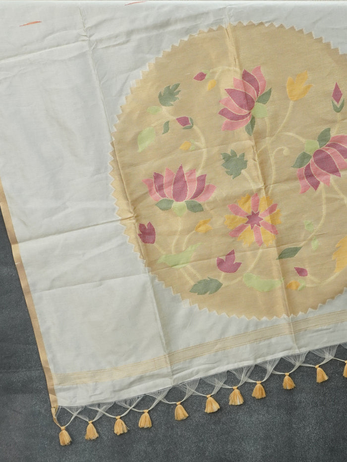 Raw Silk Saree | TTDS3594