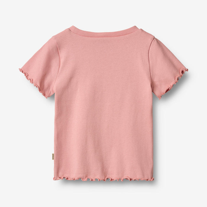 Wheat Main Rib T-shirt S/S Alicia T-Shirt 2026 rose